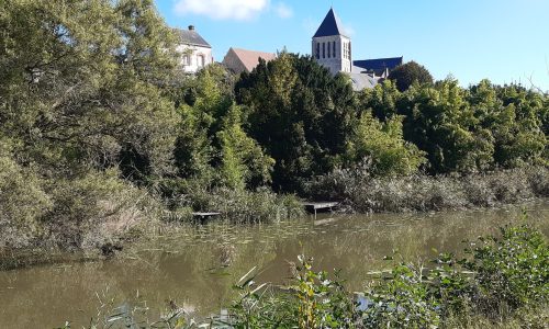 2024-10-04_12-06_PIC_Checy18