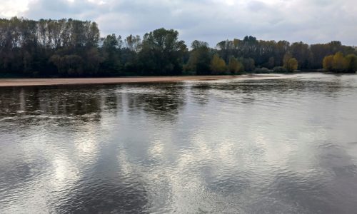 Loire bei Checy 3